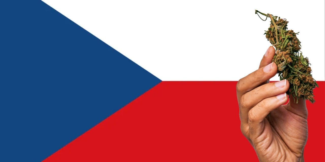 Czech-Republic cannabis